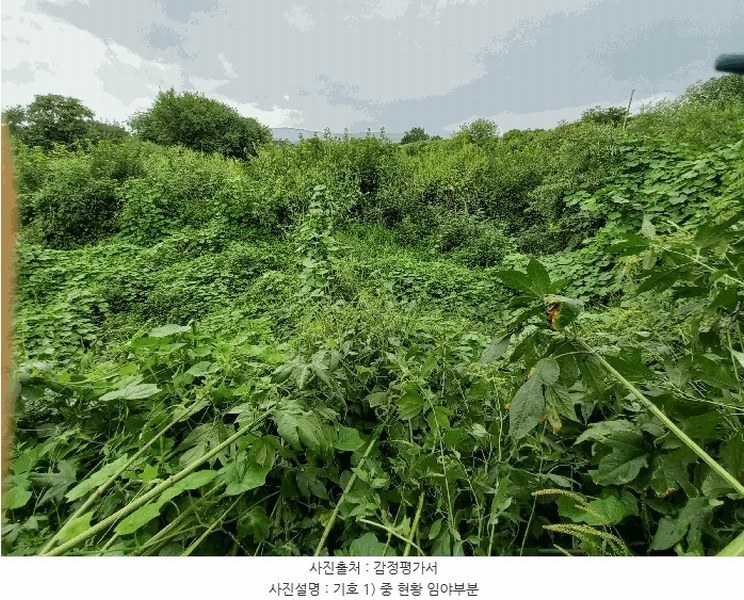 2025타경72619 경기도 포천시 영중면 양문리 325 농지 경매 이미지
