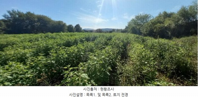 2025타경72619 경기도 포천시 영중면 양문리 325 농지 경매 이미지