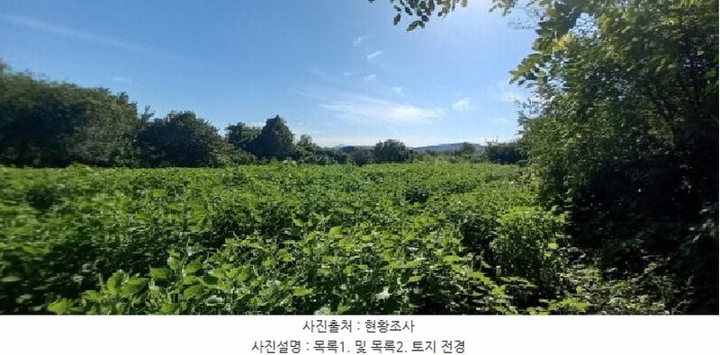 2025타경72619 경기도 포천시 영중면 양문리 325 농지 경매 이미지