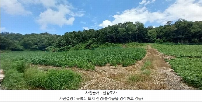 2025타경72864 경기도 연천군 중면 횡산리 산189 임야 경매 이미지