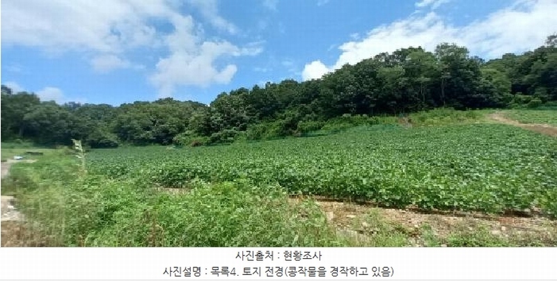 2025타경72864 경기도 연천군 중면 횡산리 산189 임야 경매 이미지