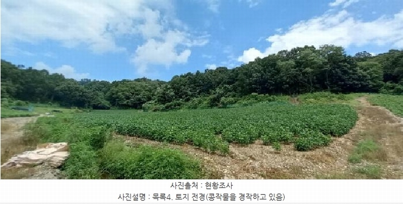 2025타경72864 경기도 연천군 중면 횡산리 산189 임야 경매 이미지