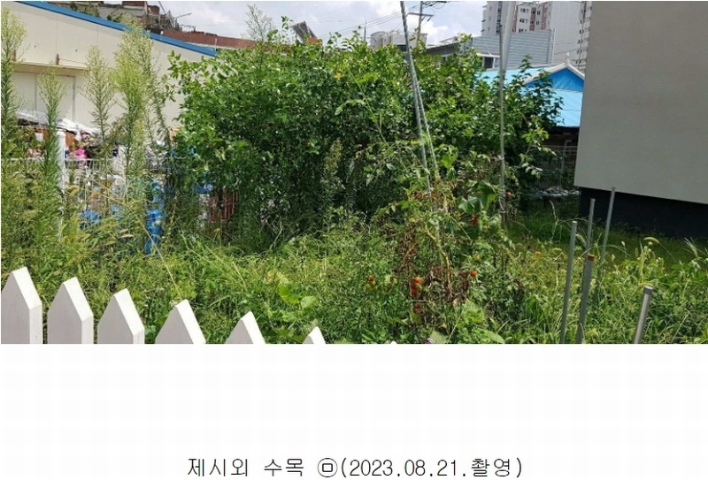 2022타경3199 강원도 철원군 동송읍 이평리 850-82 주택 경매 이미지