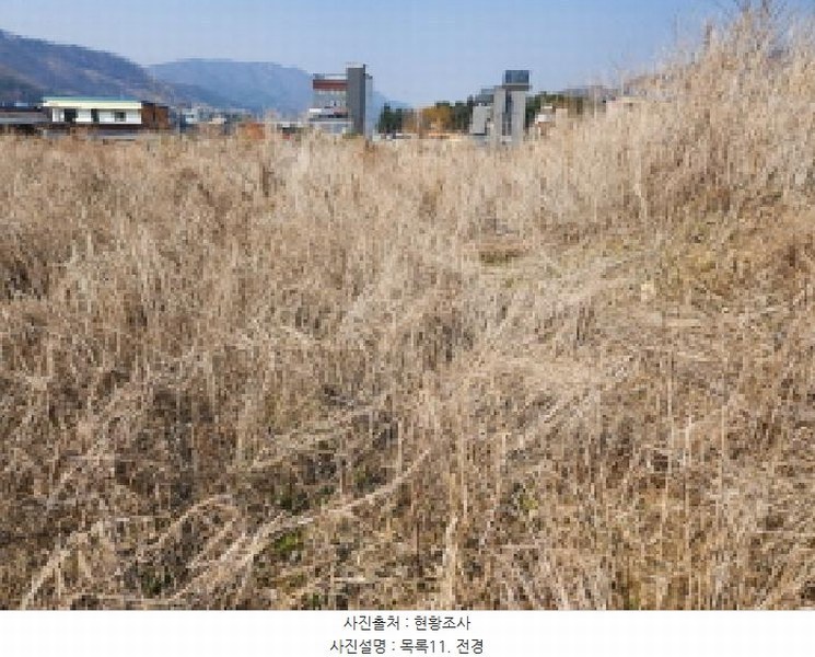 2025타경71776 경기도 동두천시 상봉암동 140-29 농지 경매 이미지