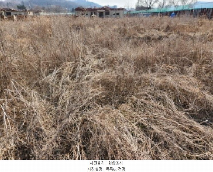 2025타경71776 경기도 동두천시 상봉암동 140-29 농지 경매 이미지