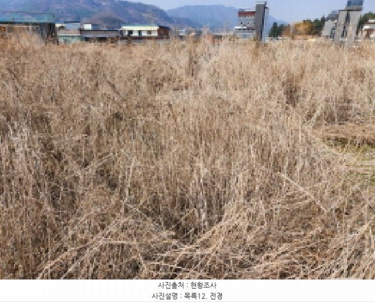 2025타경71776 경기도 동두천시 상봉암동 140-29 농지 경매 이미지
