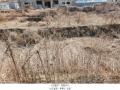 2025타경71776 경기도 동두천시 상봉암동 140-29 농지 경매 이미지