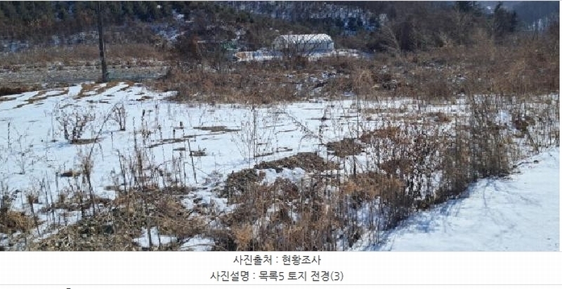 2025타경61670 경기도 파주시 파주읍 향양리 65 농지 경매 이미지