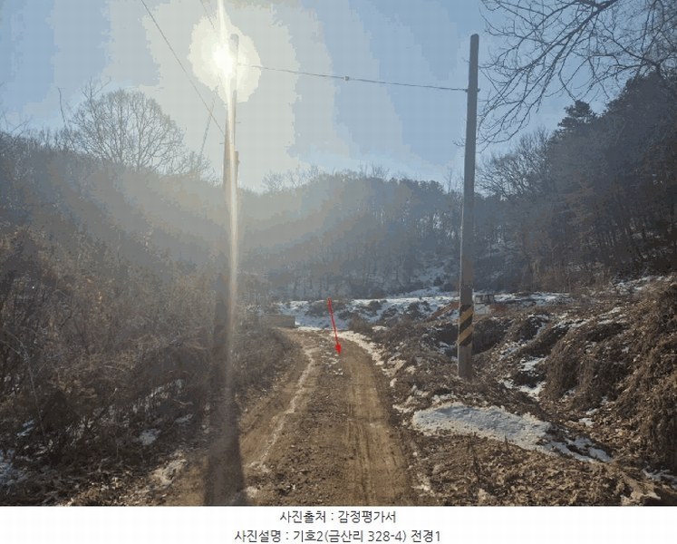 2025타경61953 경기도 파주시 탄현면 금산리 328-4 도로 경매 이미지
