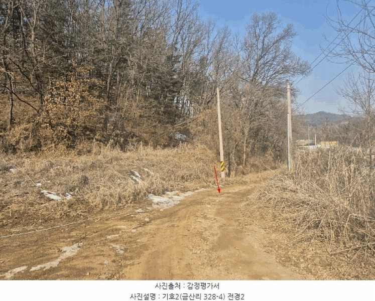 2025타경61953 경기도 파주시 탄현면 금산리 328-4 도로 경매 이미지