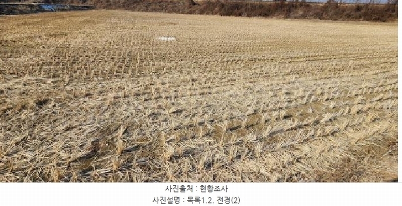 2025타경62255 경기도 파주시 문산읍 마정리 408-1 농지 경매 이미지