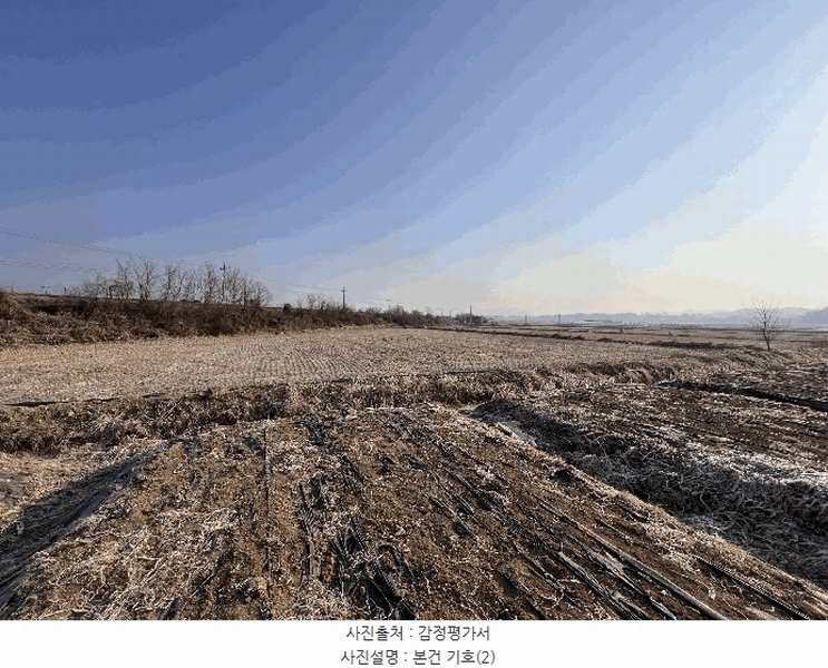 2025타경62255 경기도 파주시 문산읍 마정리 408-1 농지 경매 이미지