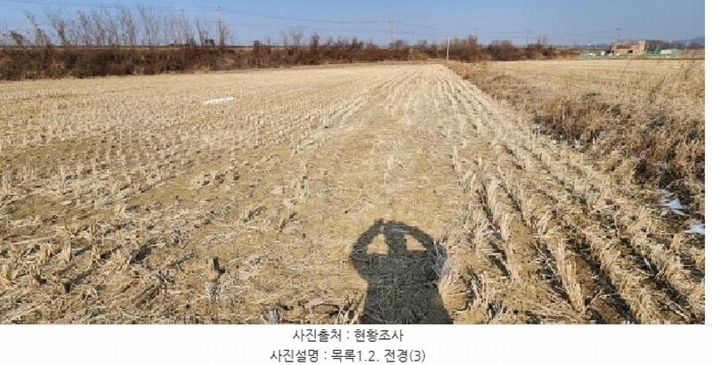 2025타경62255 경기도 파주시 문산읍 마정리 408-1 농지 경매 이미지
