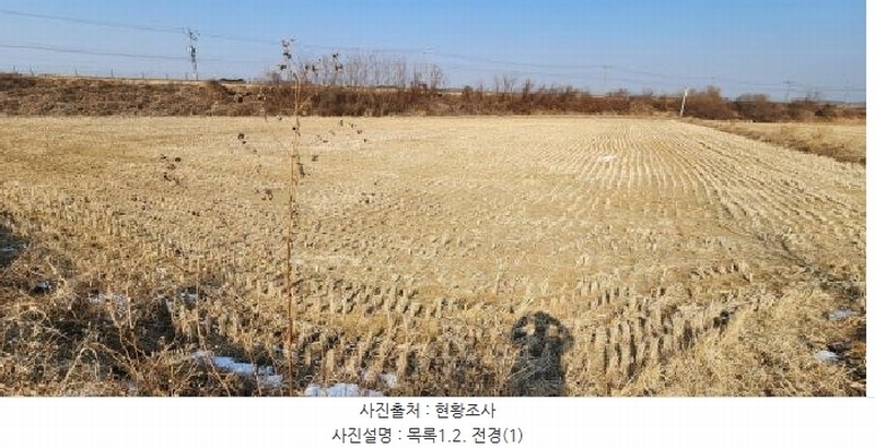 2025타경62255 경기도 파주시 문산읍 마정리 408-1 농지 경매 이미지