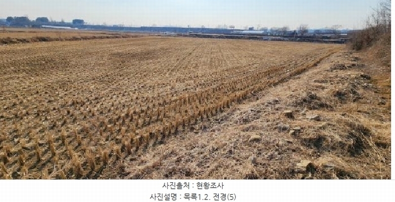 2025타경62255 경기도 파주시 문산읍 마정리 408-1 농지 경매 이미지