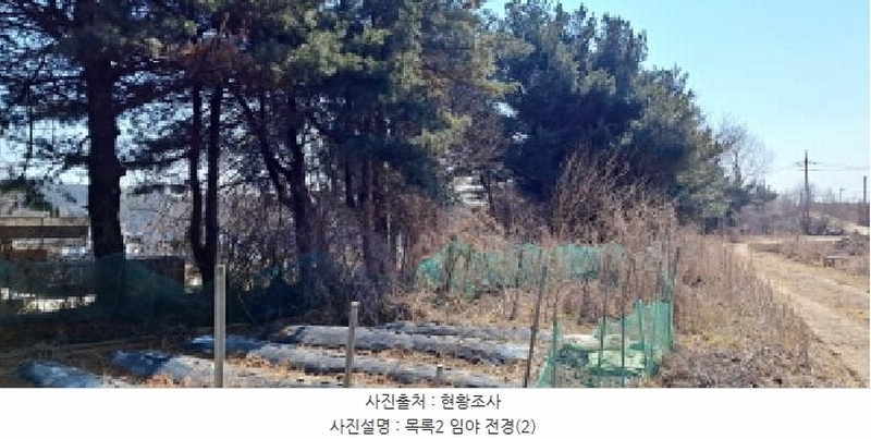 2025타경62334 경기도 파주시 월롱면 영태리 90-11 공장용지 경매 이미지