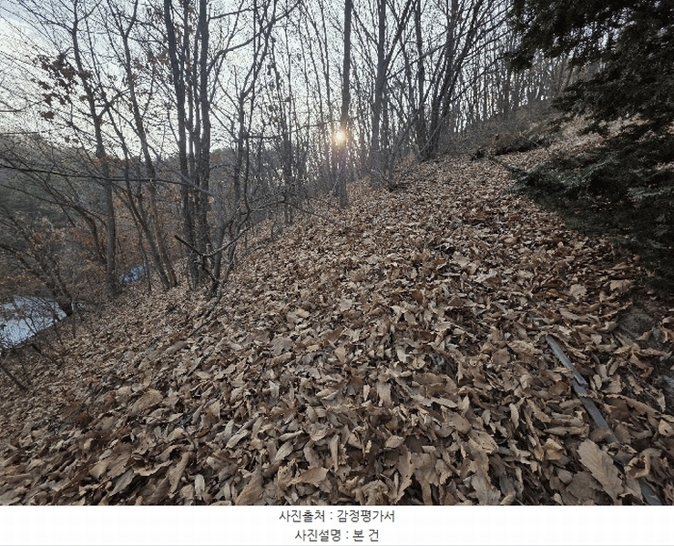 2025타경62383 경기도 파주시 검산동 472-13 임야 경매 이미지
