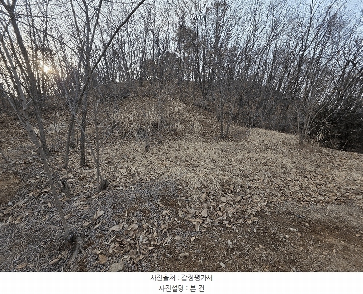 2025타경62383 경기도 파주시 검산동 472-13 임야 경매 이미지