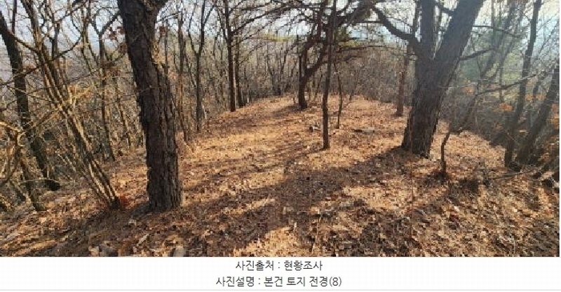 2025타경62383 경기도 파주시 검산동 472-13 임야 경매 이미지