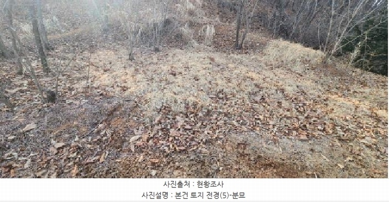2025타경62383 경기도 파주시 검산동 472-13 임야 경매 이미지