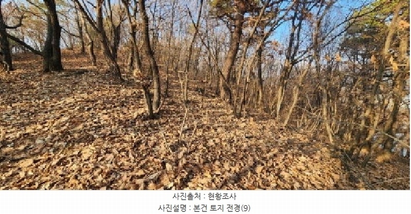 2025타경62383 경기도 파주시 검산동 472-13 임야 경매 이미지