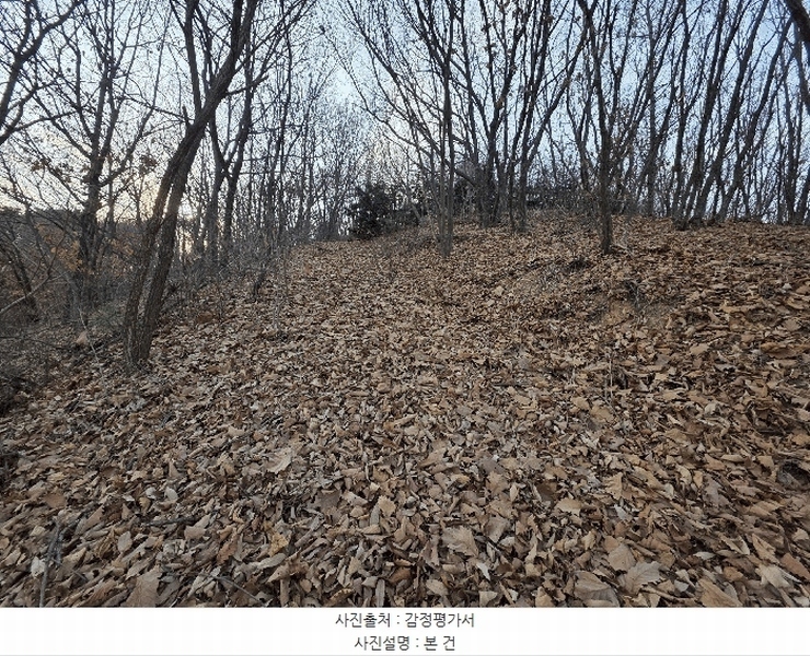 2025타경62383 경기도 파주시 검산동 472-13 임야 경매 이미지