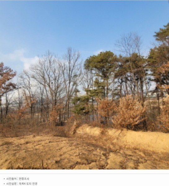 2024타경87705 경기도 파주시 파주읍 봉암리 391-5 임야 경매 이미지