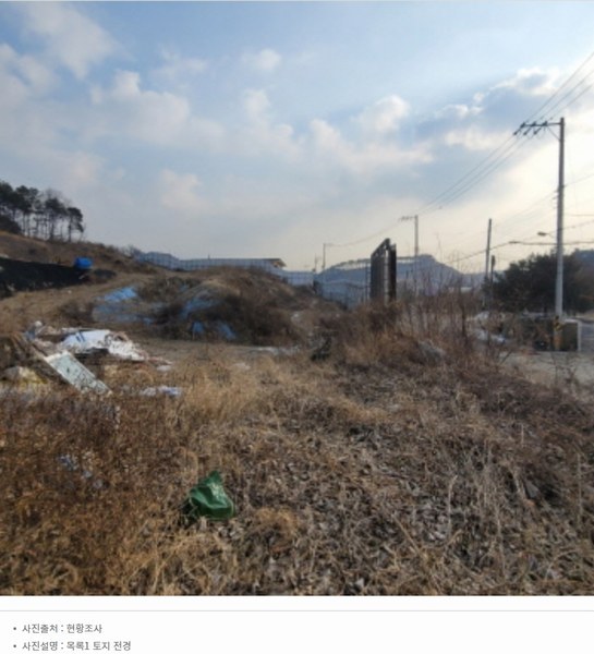 2024타경87705 경기도 파주시 파주읍 봉암리 391-5 임야 경매 이미지