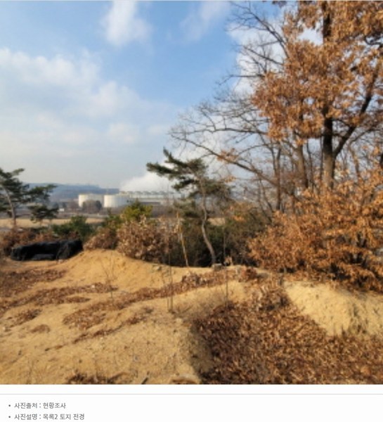 2024타경87705 경기도 파주시 파주읍 봉암리 391-5 임야 경매 이미지