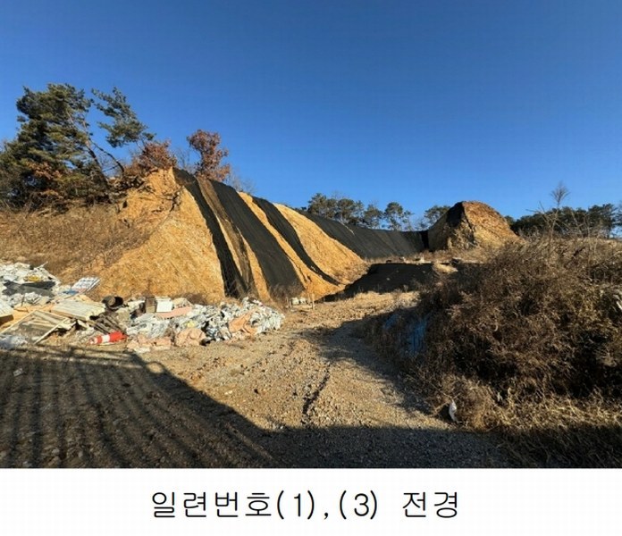 2024타경87705 경기도 파주시 파주읍 봉암리 391-5 임야 경매 이미지
