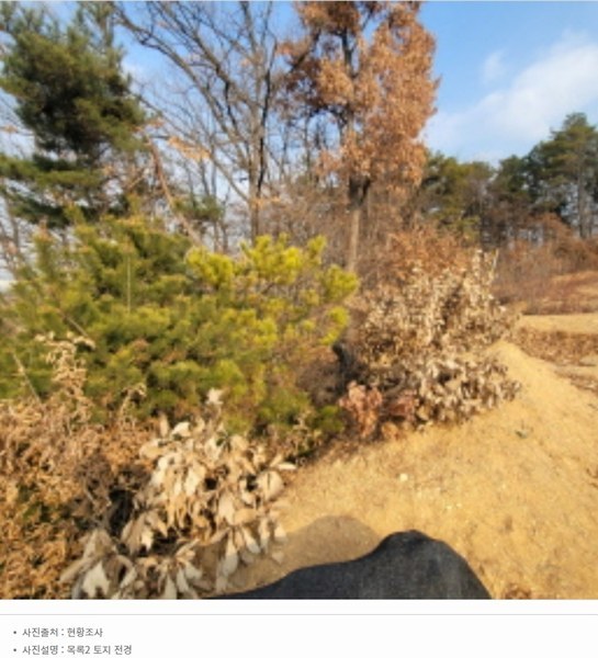 2024타경87705 경기도 파주시 파주읍 봉암리 391-5 임야 경매 이미지