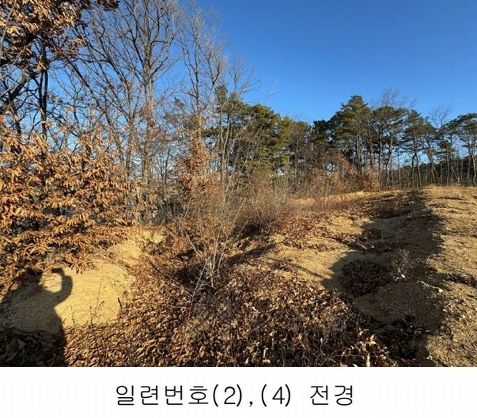 2024타경87705 경기도 파주시 파주읍 봉암리 391-5 임야 경매 이미지