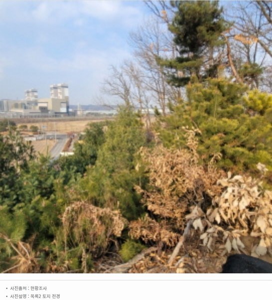 2024타경87705 경기도 파주시 파주읍 봉암리 391-5 임야 경매 이미지
