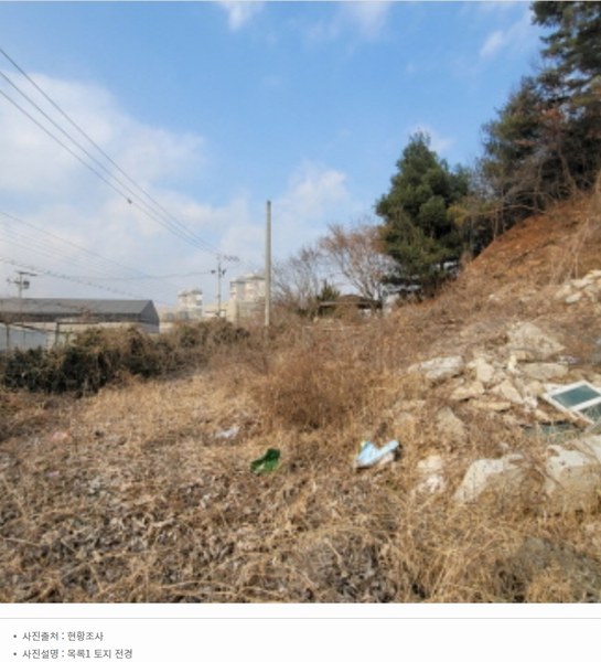 2024타경87705 경기도 파주시 파주읍 봉암리 391-5 임야 경매 이미지