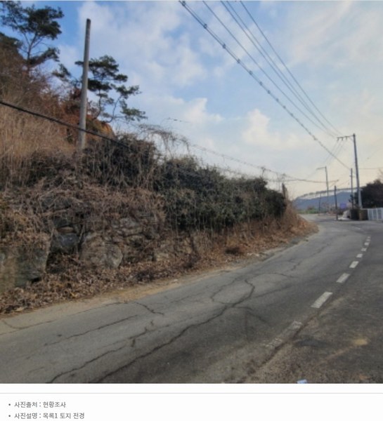 2024타경87705 경기도 파주시 파주읍 봉암리 391-5 임야 경매 이미지