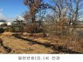 2024타경87705 경기도 파주시 파주읍 봉암리 391-5 임야 경매 이미지