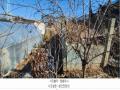 2025타경62267 경기도 파주시 아동동 208-2 잡종지 경매 이미지
