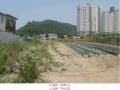 2025타경63142 경기도 파주시 파주읍 연풍리 112-15 농지 경매 이미지