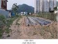 2025타경63142 경기도 파주시 파주읍 연풍리 112-15 농지 경매 이미지