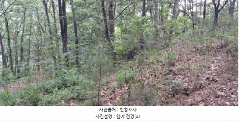 2025타경63173 경기도 파주시 적성면 장현리 산59 임야 경매 이미지