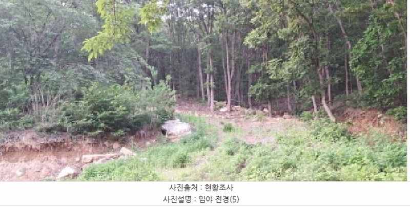 2025타경63173 경기도 파주시 적성면 장현리 산59 임야 경매 이미지