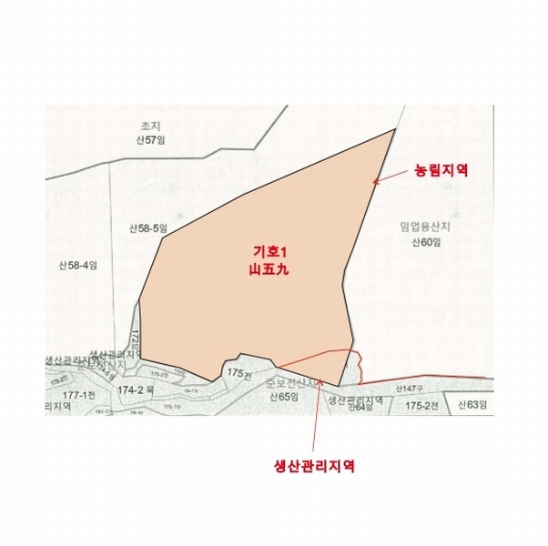 2025타경63173 경기도 파주시 적성면 장현리 산59 임야 경매 이미지