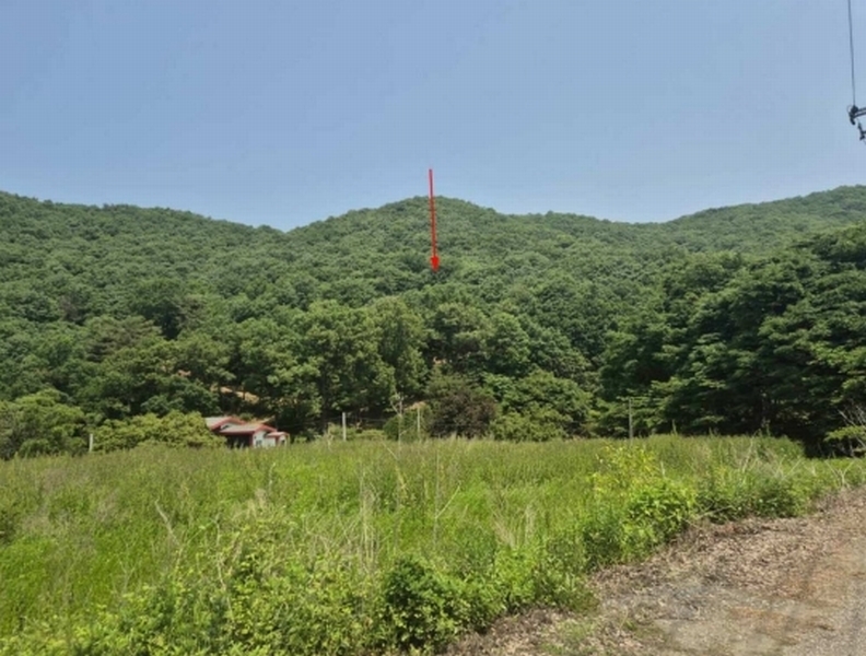 2025타경63173 경기도 파주시 적성면 장현리 산59 임야 경매 이미지