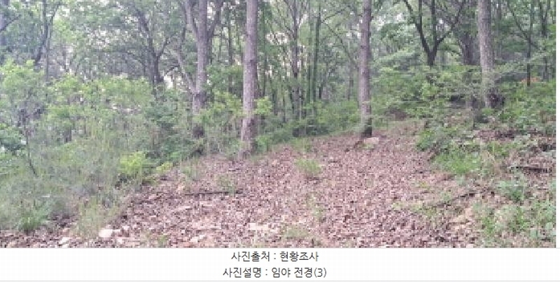 2025타경63173 경기도 파주시 적성면 장현리 산59 임야 경매 이미지
