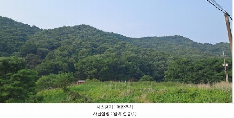 2025타경63173 경기도 파주시 적성면 장현리 산59 임야 경매 이미지
