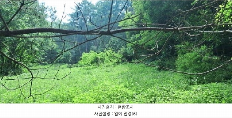 2025타경63268 경기도 파주시 법원읍 직천리 산135-3 임야 경매 이미지