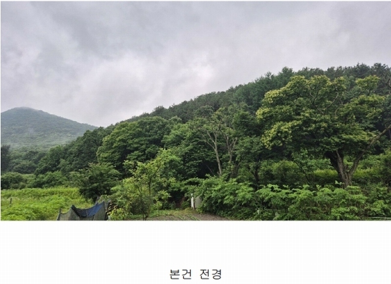2025타경63268 경기도 파주시 법원읍 직천리 산135-3 임야 경매 이미지