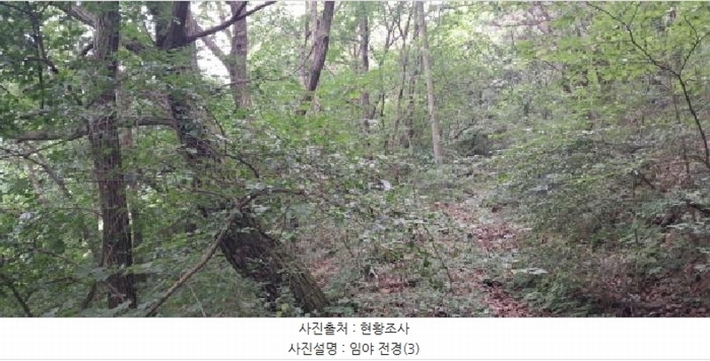 2025타경63268 경기도 파주시 법원읍 직천리 산135-3 임야 경매 이미지