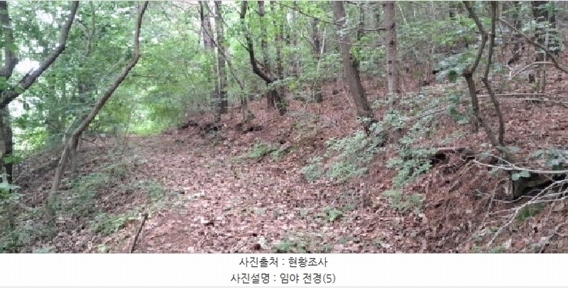 2025타경63268 경기도 파주시 법원읍 직천리 산135-3 임야 경매 이미지