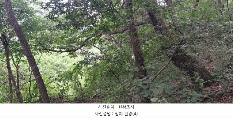 2025타경63268 경기도 파주시 법원읍 직천리 산135-3 임야 경매 이미지